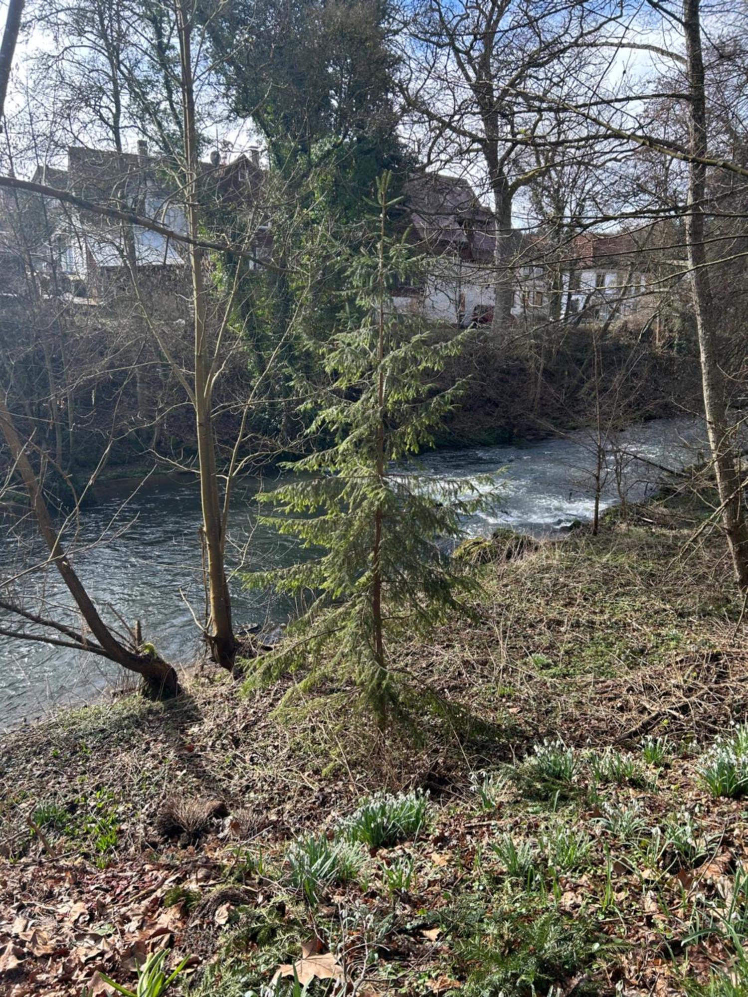Villa Am Fluss Pforzheim Eksteriør bilde